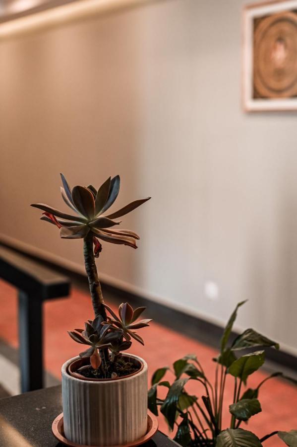 Pancha Buddha Service Apartments And Rooms Káthmándú Exteriér fotografie